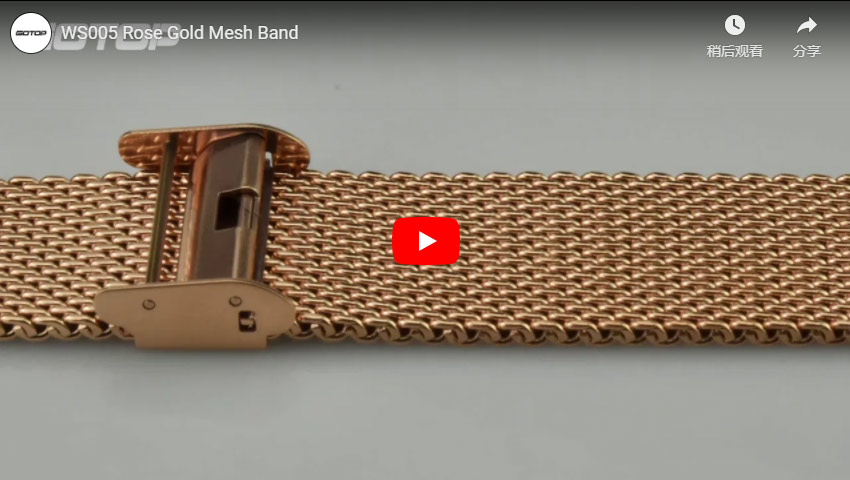 WS005 Rose Gold Mesh Band